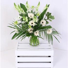 fwthumbSnapdragon Showcase.jpg